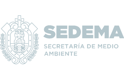 SEDEMA