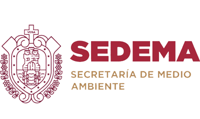 SEDEMA